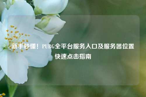 新手秒懂!PUBG全平台服务入口及服务器位置快速点击指南