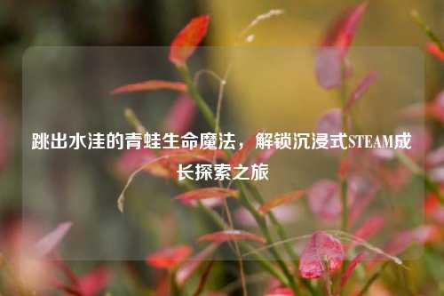 跳出水洼的青蛙生命魔法，解锁沉浸式STEAM成长探索之旅