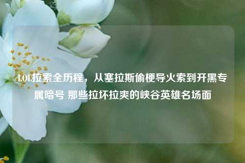LOL拉索全历程,从塞拉斯偷梗导火索到开黑专属暗号 那些拉坏拉爽的峡谷英雄名场面