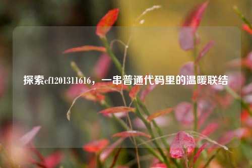 探索cf1201311616,一串普通代码里的温暖联结