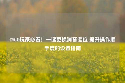 CSGO玩家必看!一键更换消音键位 提升操作顺手度的设置指南