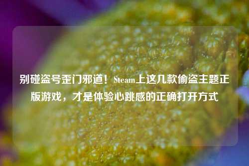 别碰盗号歪门邪道!Steam上这几款偷盗主题正版游戏,才是体验心跳感的正确打开方式