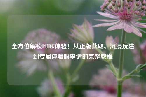 全方位解锁PUBG体验!从正版获取、沉浸玩法到专属体验服申请的完整教程