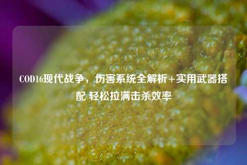 COD16现代战争,伤害系统全解析+实用武器搭配 轻松拉满击杀效率