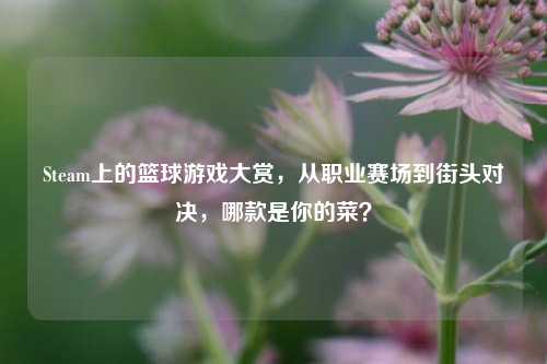 Steam上的篮球游戏大赏，从职业赛场到街头对决，哪款是你的菜？