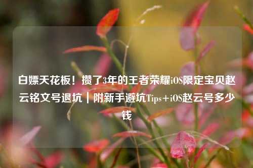 白嫖天花板!攒了3年的王者荣耀iOS限定宝贝赵云铭文号退坑|附新手避坑Tips+iOS赵云号多少钱