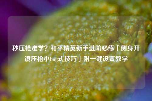 秒压枪难学?和平精英新手进阶必练「侧身开镜压枪小bug式技巧」附一键设置教学