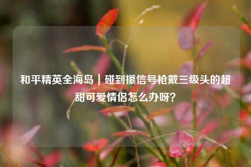 和平精英全海岛|碰到攥信号枪戴三级头的超甜可爱情侣怎么办呀?