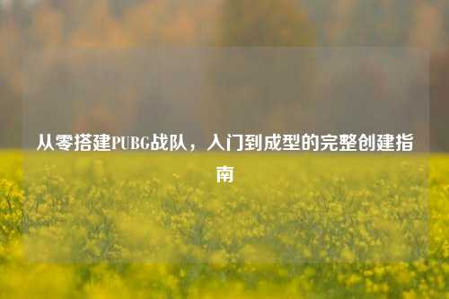 从零搭建PUBG战队,入门到成型的完整创建指南
