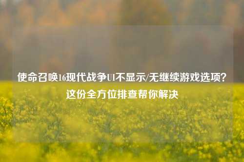 使命召唤16现代战争UI不显示/无继续游戏选项?这份全方位排查帮你解决