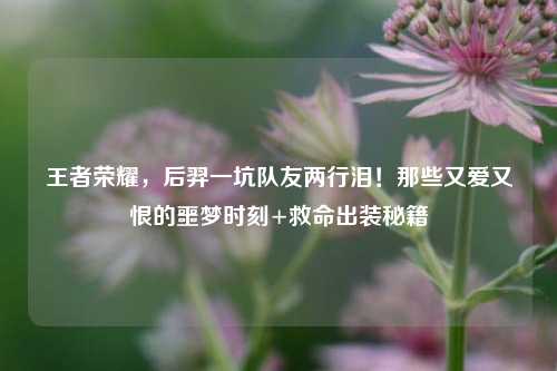 王者荣耀,后羿一坑队友两行泪!那些又爱又恨的噩梦时刻+救命出装秘籍