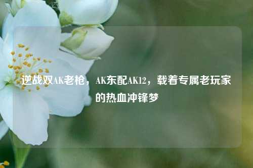 逆战双AK老枪,AK东配AK12,载着专属老玩家的热血冲锋梦