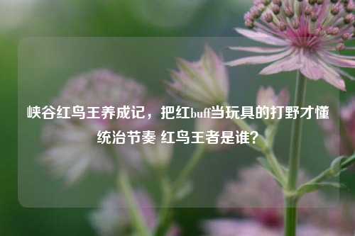 峡谷红鸟王养成记,把红buff当玩具的打野才懂统治节奏 红鸟王者是谁?