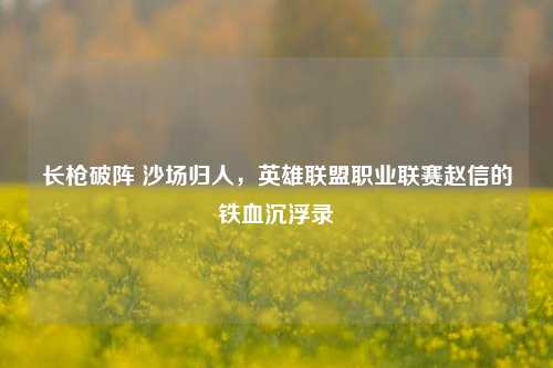 长枪破阵 沙场归人,英雄联盟职业联赛赵信的铁血沉浮录