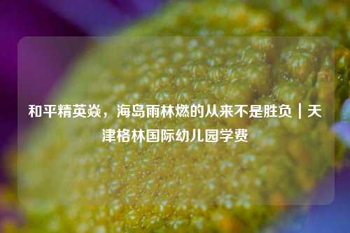 和平精英焱,海岛雨林燃的从来不是胜负|天津格林国际幼儿园学费