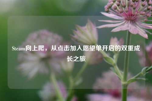 Steam向上爬,从点击加入愿望单开启的双重成长之旅
