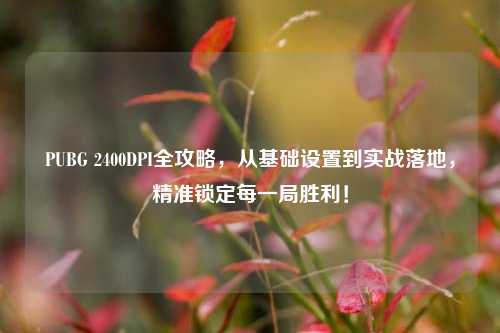 PUBG 2400DPI全攻略,从基础设置到实战落地,精准锁定每一局胜利!