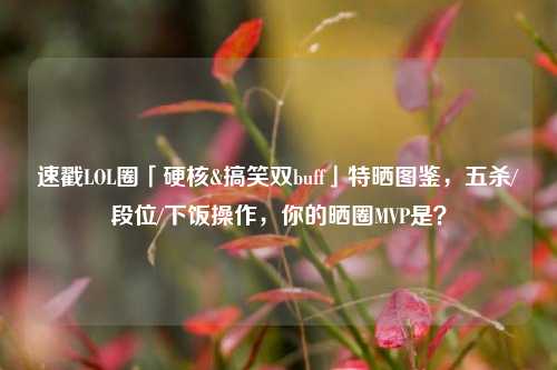 速戳LOL圈「硬核&搞笑双buff」特晒图鉴,五杀/段位/下饭操作,你的晒圈MVP是?