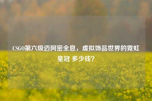 CSGO第六级迈阿密全息,虚拟饰品世界的霓虹皇冠 多少钱?