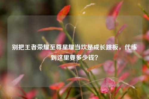 别把王者荣耀至尊星耀当坎是成长跳板,代练到这里要多少钱?