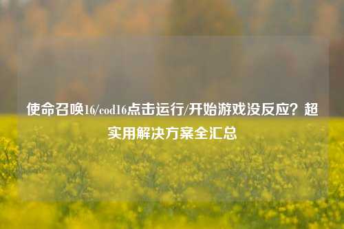 使命召唤16/cod16点击运行/开始游戏没反应?超实用解决方案全汇总