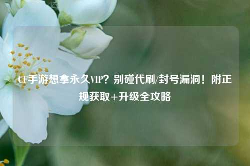 CF手游想拿永久VIP？别碰代刷/封号漏洞！附正规获取+升级全攻略