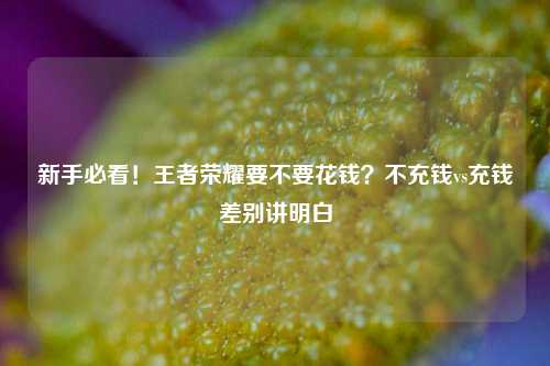 新手必看!王者荣耀要不要花钱?不充钱vs充钱差别讲明白