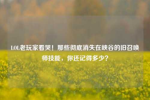 LOL老玩家看哭!那些彻底消失在峡谷的旧召唤师技能,你还记得多少?