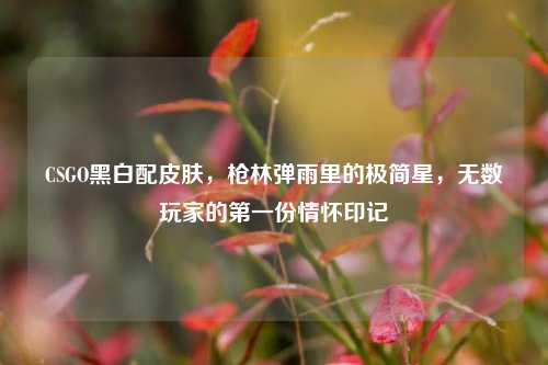 CSGO黑白配皮肤,枪林弹雨里的极简星,无数玩家的第一份情怀印记