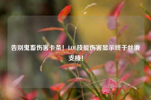 告别鬼畜伤害卡条!LOL技能伤害显示终于丝滑支棱!