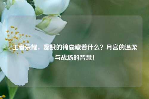 王者荣耀,嫦娥的锦囊藏着什么?月宫的温柔与战场的智慧!