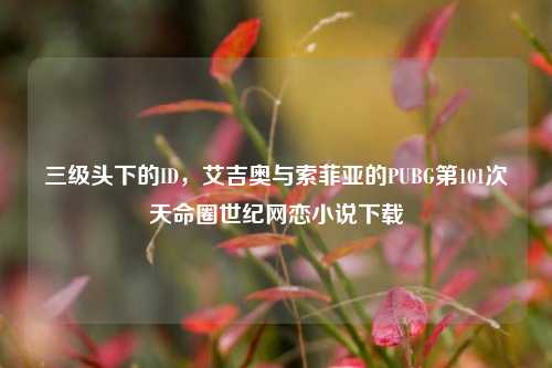 三级头下的ID,艾吉奥与索菲亚的PUBG第101次天命圈世纪网恋小说下载