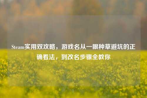 Steam实用双攻略,游戏名从一眼种草避坑的正确看法,到改名步骤全教你