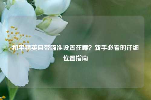 和平精英自带瞄准设置在哪?新手必看的详细位置指南