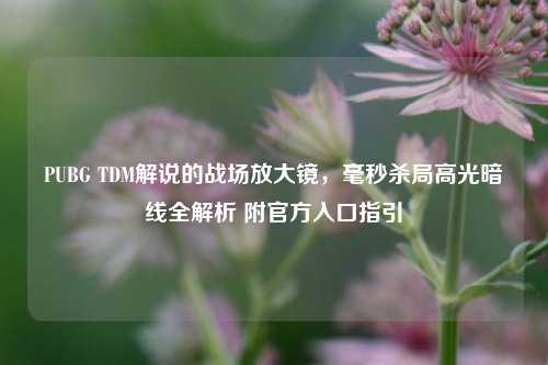 PUBG TDM解说的战场放大镜,毫秒杀局高光暗线全解析 附官方入口指引