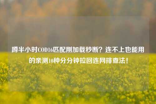 蹲半小时COD16匹配刚加载秒断?连不上也能用的亲测10种分分钟拉回连网排查法!