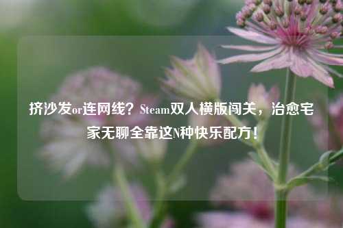 挤沙发or连网线?Steam双人横版闯关,治愈宅家无聊全靠这N种快乐配方!