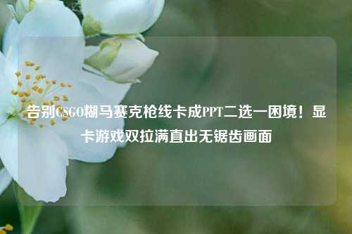 告别CSGO糊马赛克枪线卡成PPT二选一困境!显卡游戏双拉满直出无锯齿画面