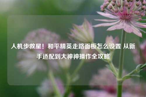 人机步救星!和平精英走路面板怎么设置 从新手适配到大神神操作全攻略