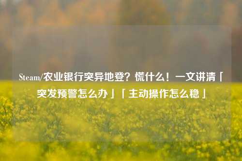Steam/农业银行突异地登?慌什么!一文讲清「突发预警怎么办」「主动操作怎么稳」