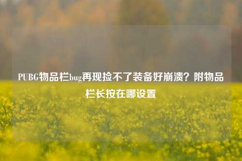 PUBG物品栏bug再现捡不了装备好崩溃？附物品栏长按在哪设置
