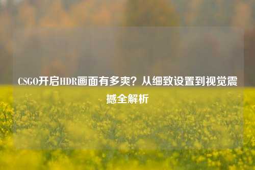 CSGO开启HDR画面有多爽?从细致设置到视觉震撼全解析