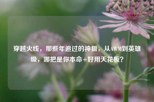 穿越火线,那些年追过的神狙,从AWM到英雄级,哪把是你本命+好用天花板?