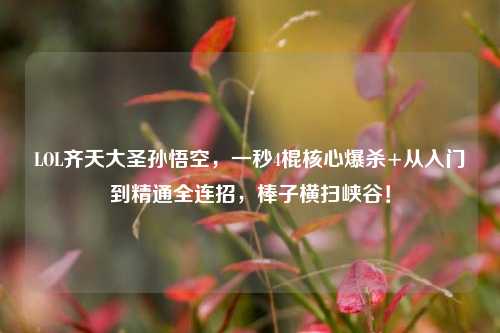 LOL齐天大圣孙悟空,一秒4棍核心爆杀+从入门到精通全连招,棒子横扫峡谷!