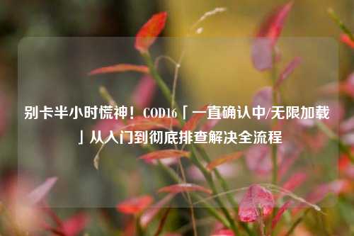 别卡半小时慌神!COD16「一直确认中/无限加载」从入门到彻底排查解决全流程
