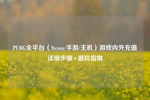 PUBG全平台(Steam/手游/主机)游戏内外充值详细步骤+避坑指南