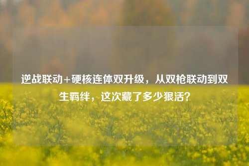 逆战联动+硬核连体双升级,从双枪联动到双生羁绊,这次藏了多少狠活?
