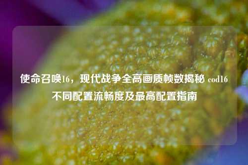 使命召唤16,现代战争全高画质帧数揭秘 cod16不同配置流畅度及最高配置指南