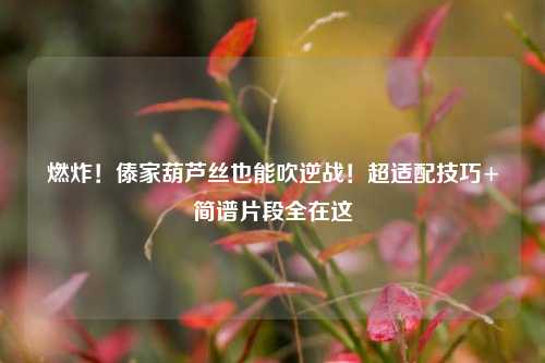 燃炸!傣家葫芦丝也能吹逆战!超适配技巧+简谱片段全在这