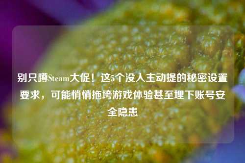 别只蹲Steam大促!这5个没人主动提的秘密设置要求,可能悄悄拖垮游戏体验甚至埋下账号安全隐患